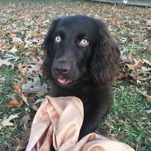 Meet your Posher, Moriah